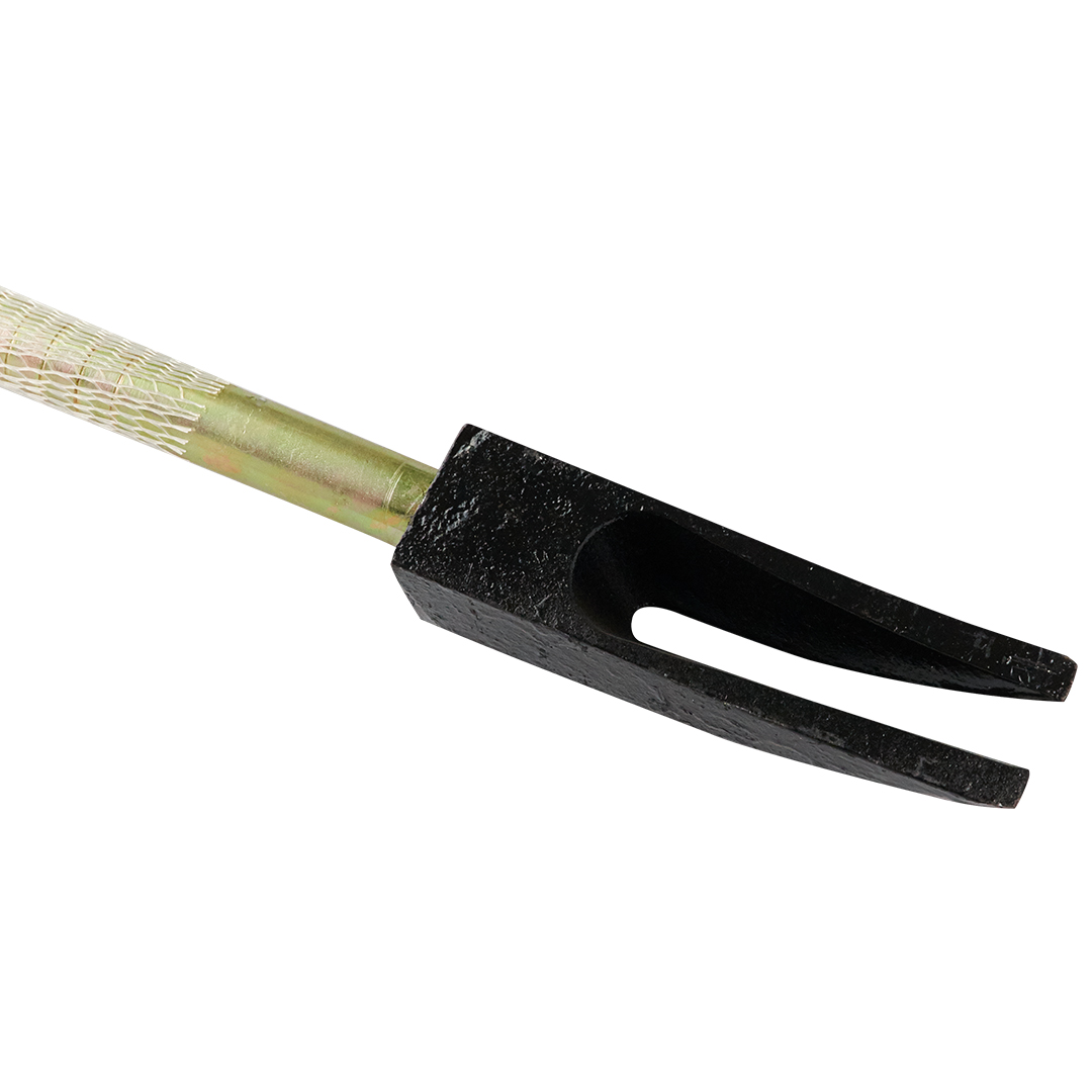 Barreta Halligan - Image 3