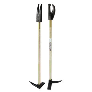 Barreta Halligan