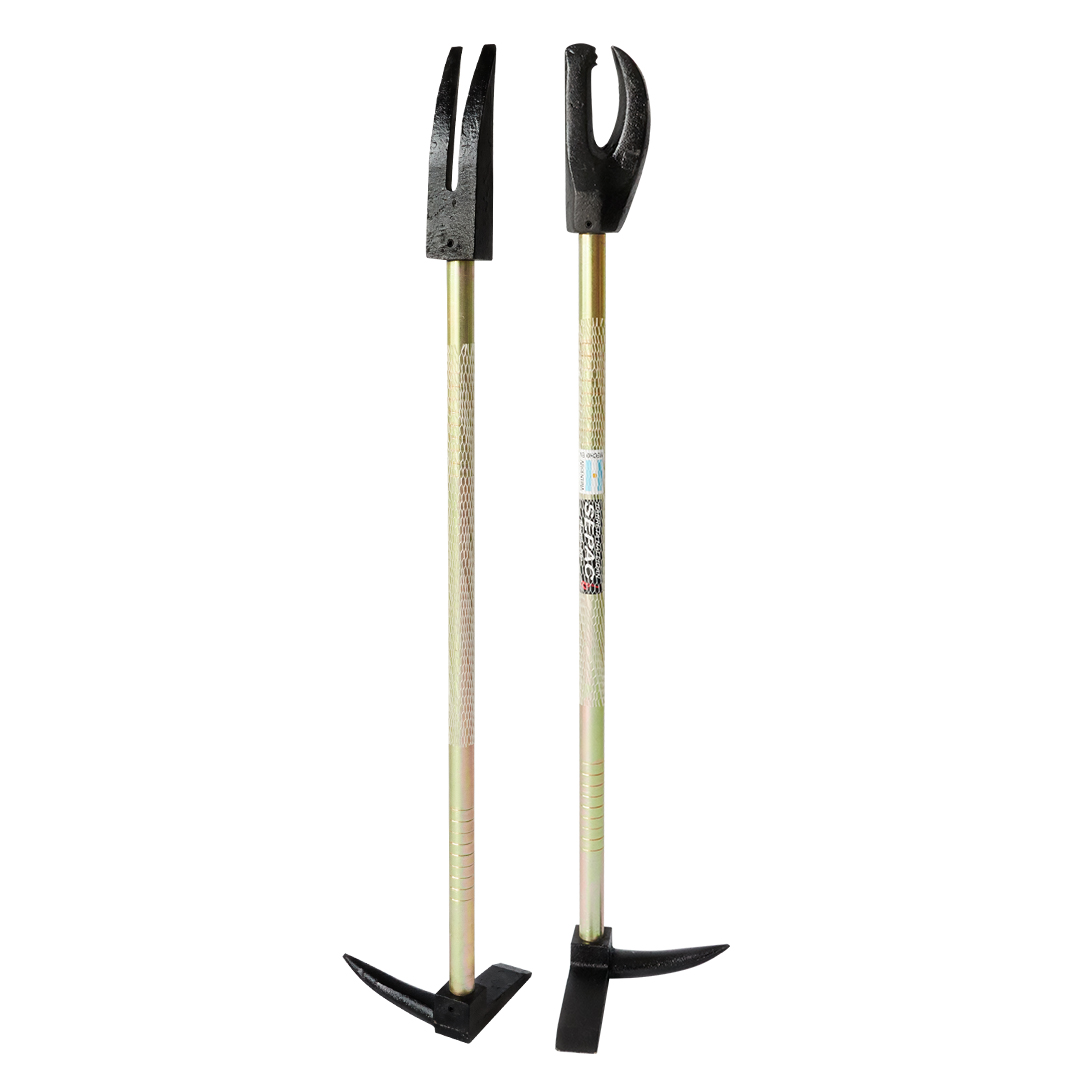 Barreta Halligan